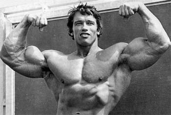 Hollywood action star and former governor of California arnold schwarzenegger
