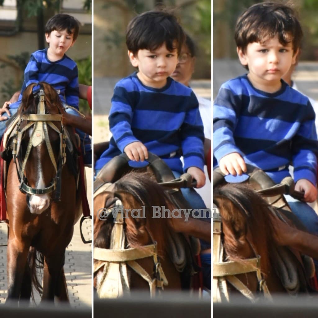 taimur ali khan horse riding session