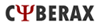 Cyberax Tech : Web Hosting, Web Designing, Search Engine Optimization (SEO)